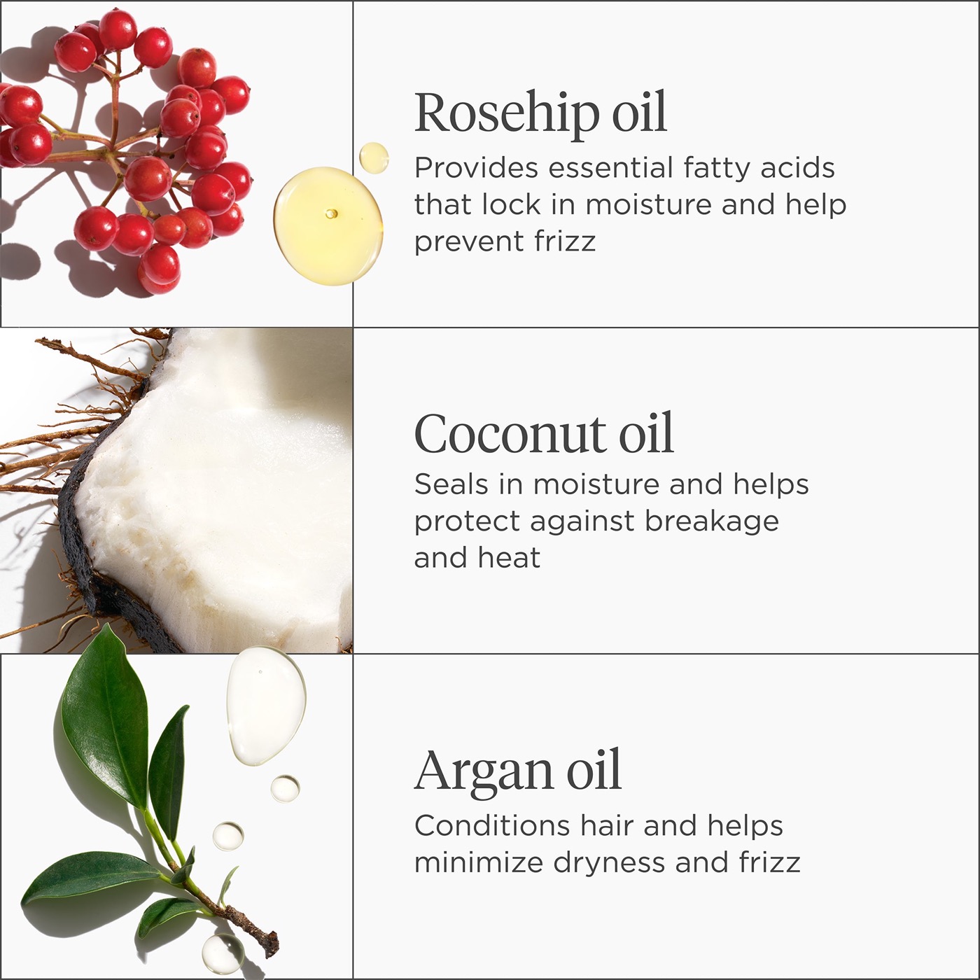 Briogeo ingredient visual showing rosehip oil, coconut oil, and argan oil